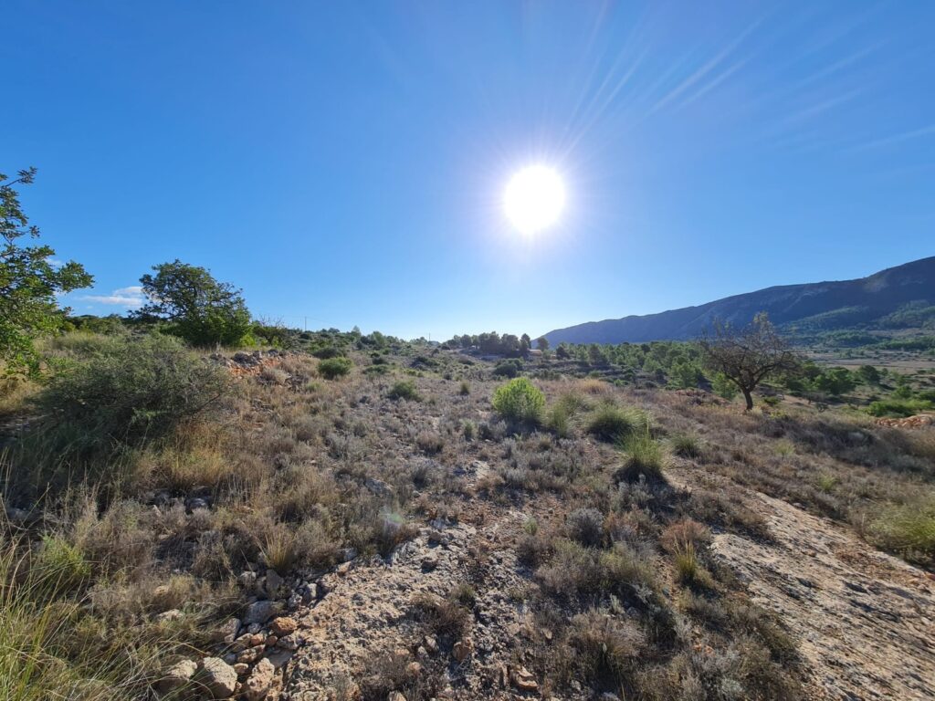 Land w La Romana - oferta MLSC470443