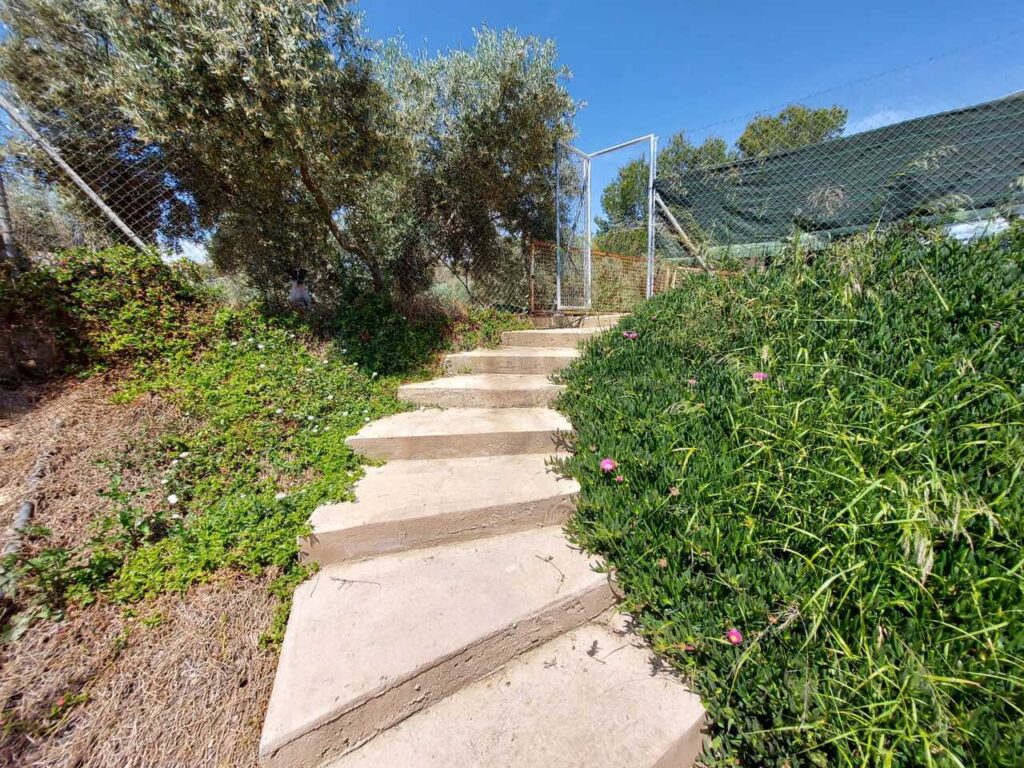 Property w Calasparra - oferta MLSC365302