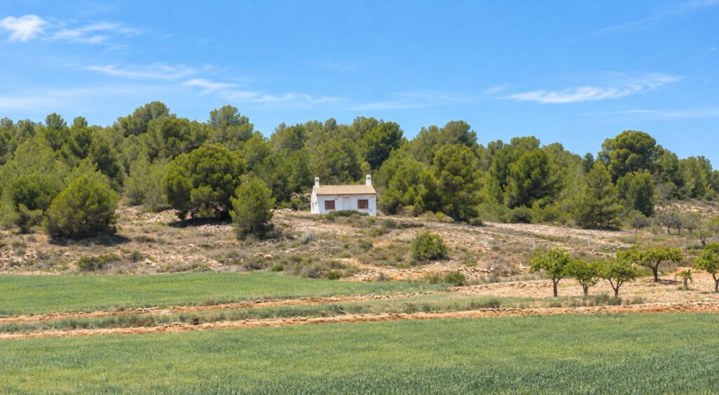 Property w Pinoso - oferta MLSC7116407
