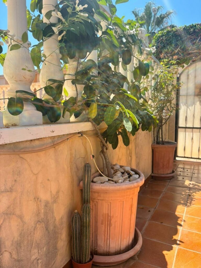 Villa w Orihuela Costa - oferta MLSC949330