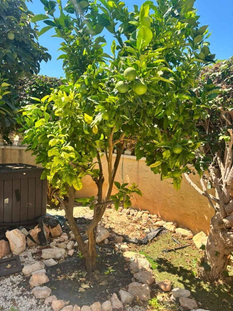 Villa w Orihuela Costa - oferta MLSC949330