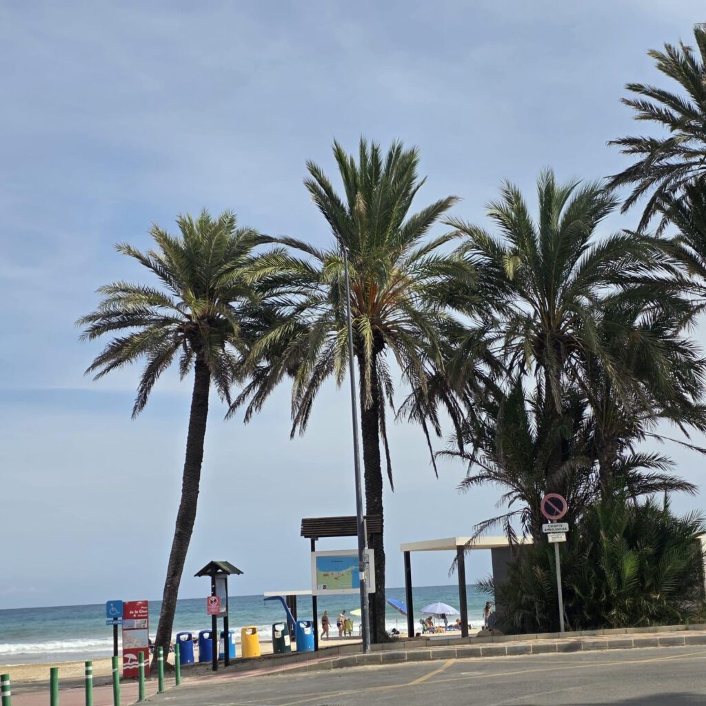 Apartment w Orihuela Costa - oferta MLSC7074309