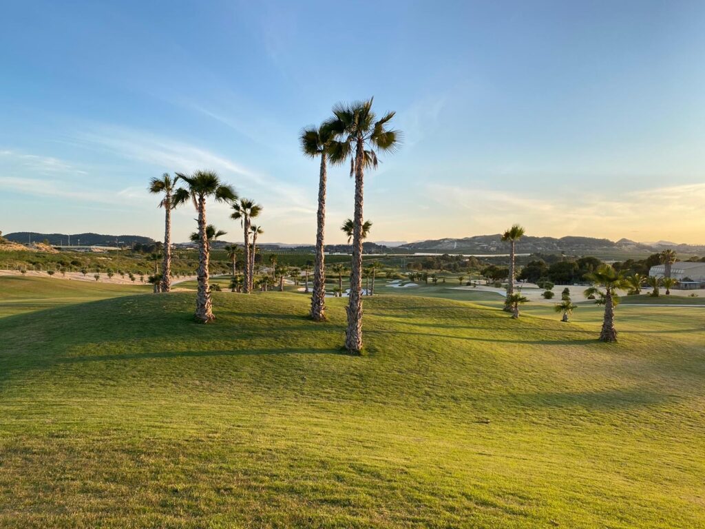 Apartment w Orihuela - oferta MLSC8204074