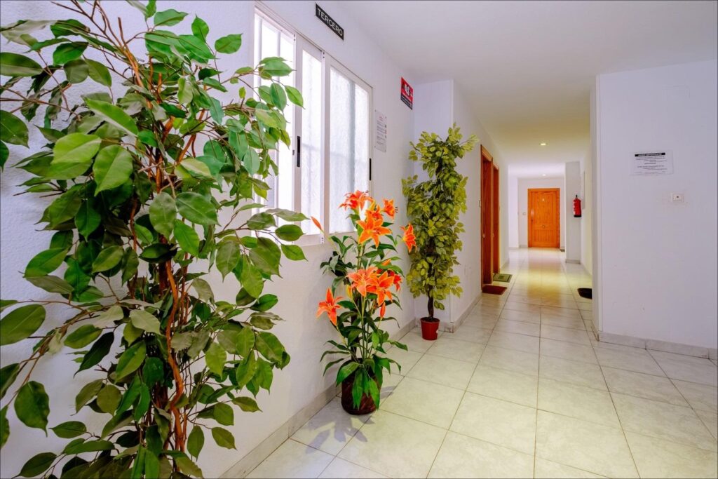 Apartment w Torrevieja - oferta MLSC159720