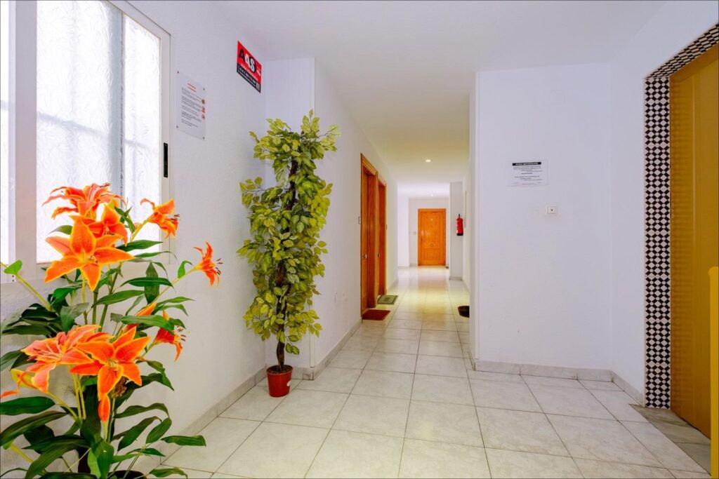 Apartment w Torrevieja - oferta MLSC159720
