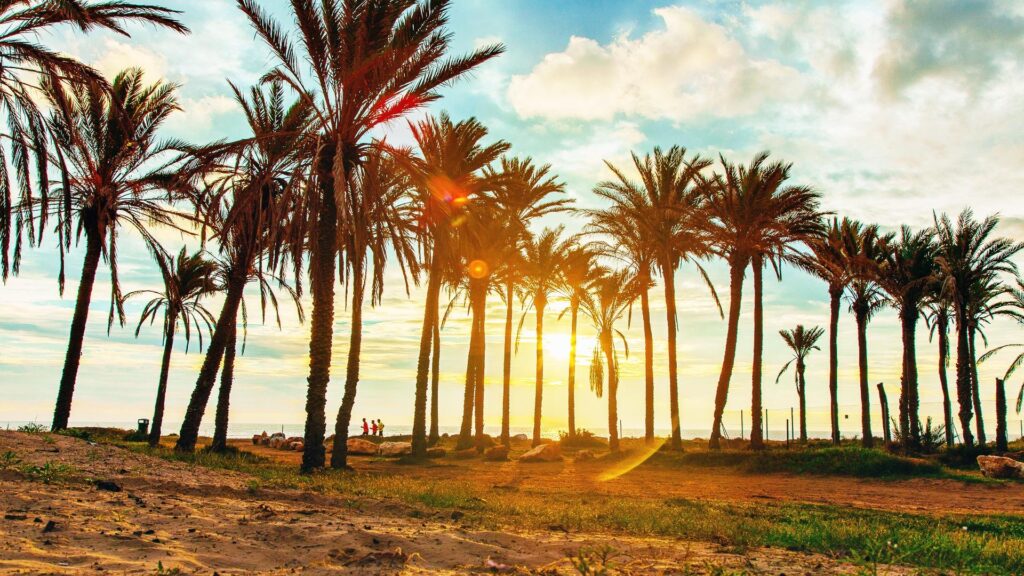 Bungalow w Torrevieja - oferta MLSC6152545