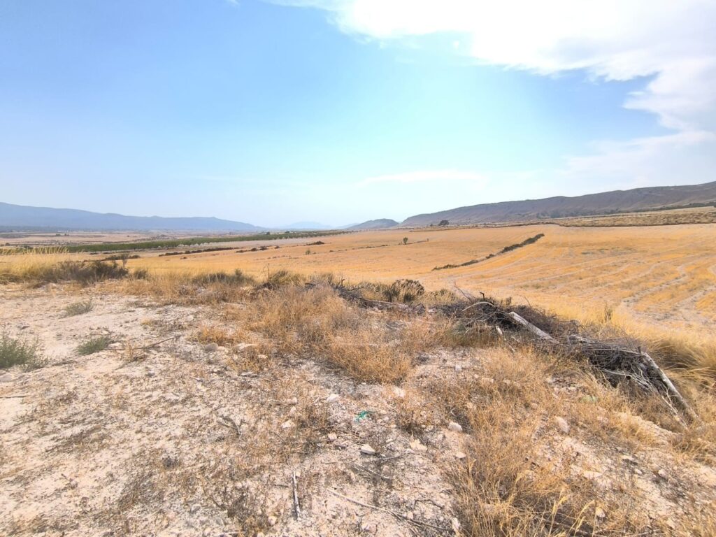 Country House w Jumilla - oferta MLSC4678785
