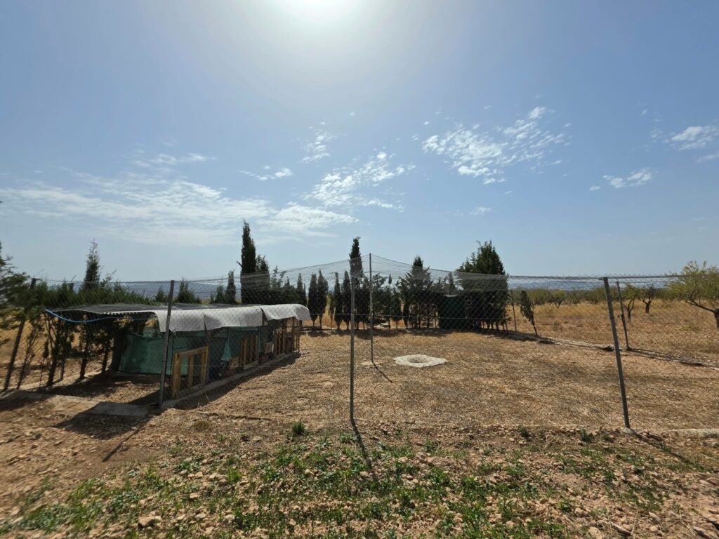 Country House w Jumilla - oferta MLSC9171061