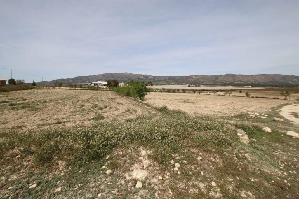Country House w Monóvar/Monóver - oferta MLSC8715907