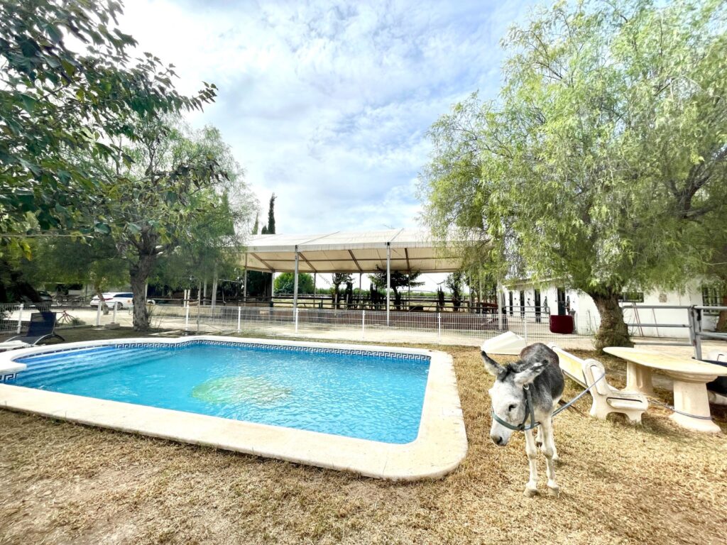 Country House w Orihuela - oferta MLSC4548996