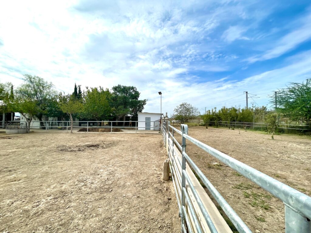 Country House w Orihuela - oferta MLSC4548996