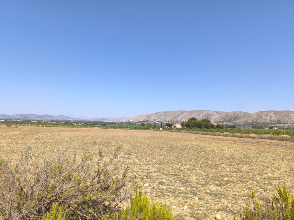 Country House w Villena - oferta MLSC5262218