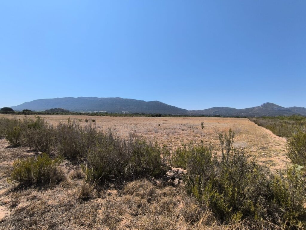Country House w Villena - oferta MLSC5262218