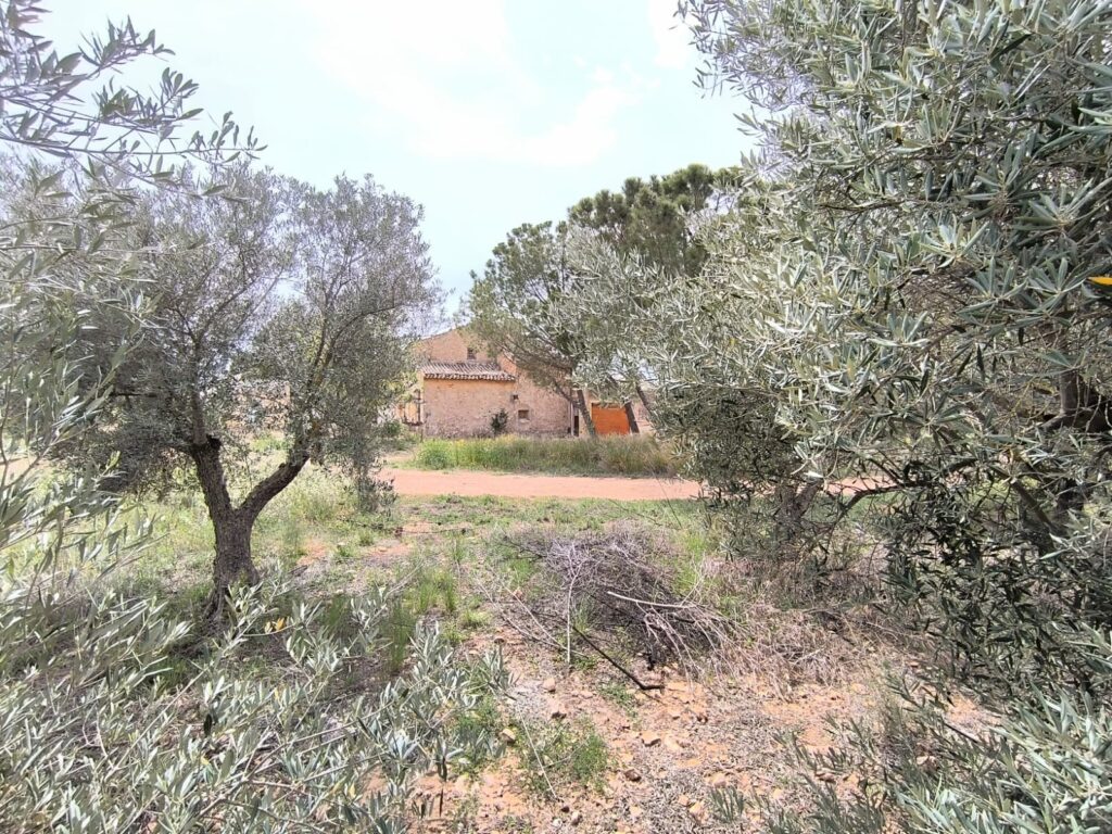 Country House w Yecla - oferta MLSC2687543