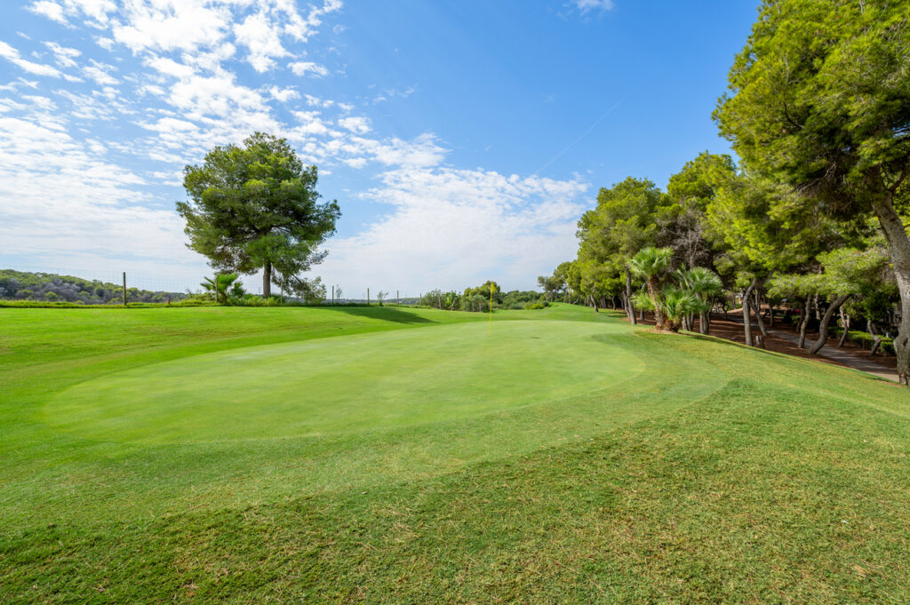 Duplex Penthouse w Dehesa de Campoamor - oferta MLSC9573930