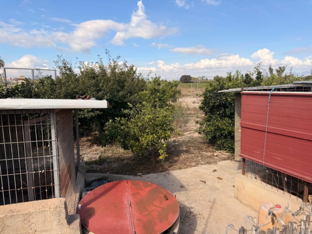 Finca w Almoradi - oferta MLSC8257378