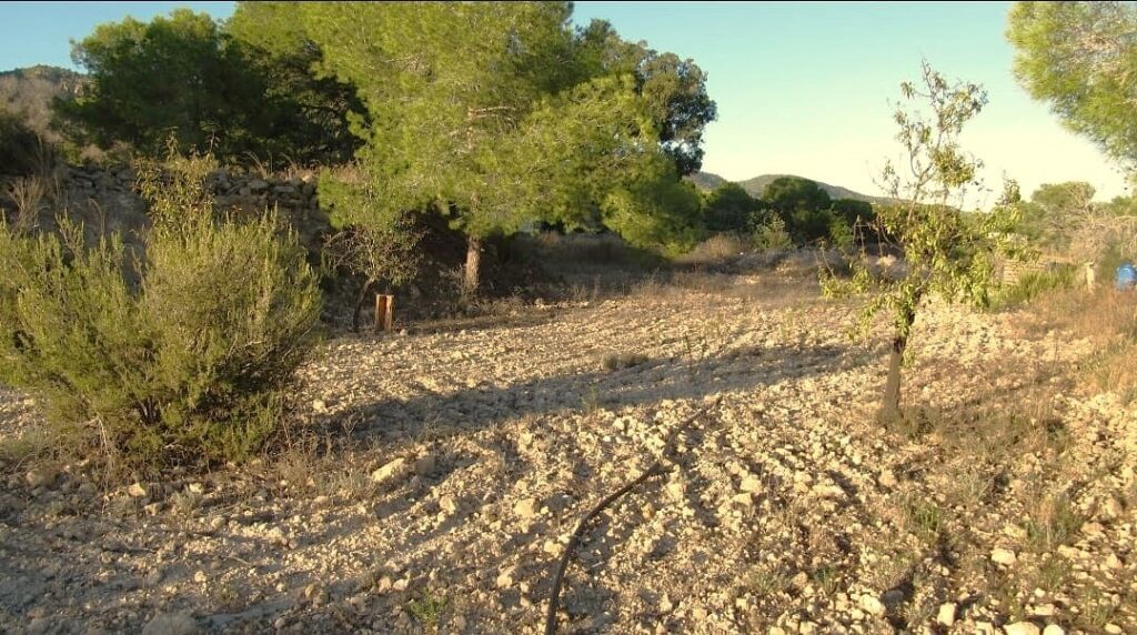 Finca w Gea Y Truyols - oferta MLSC5857155