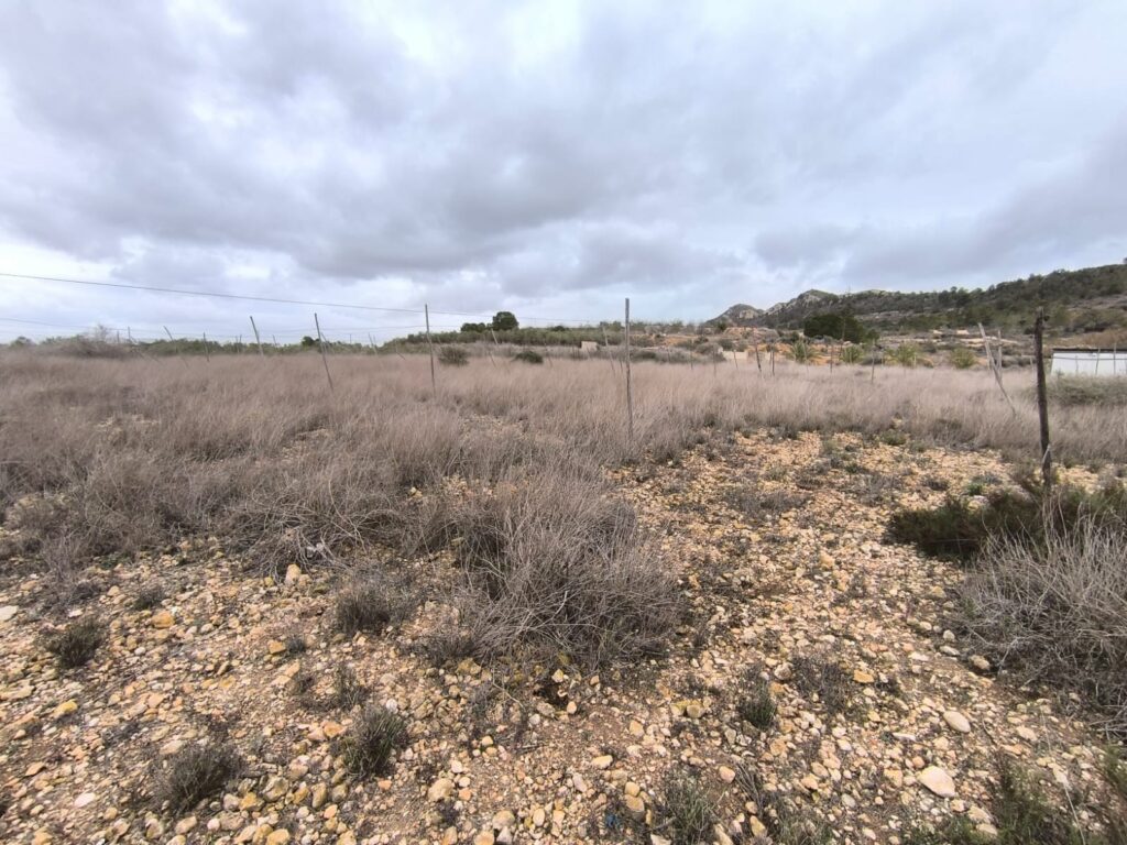 Finca w La Romana - oferta MLSC9417593