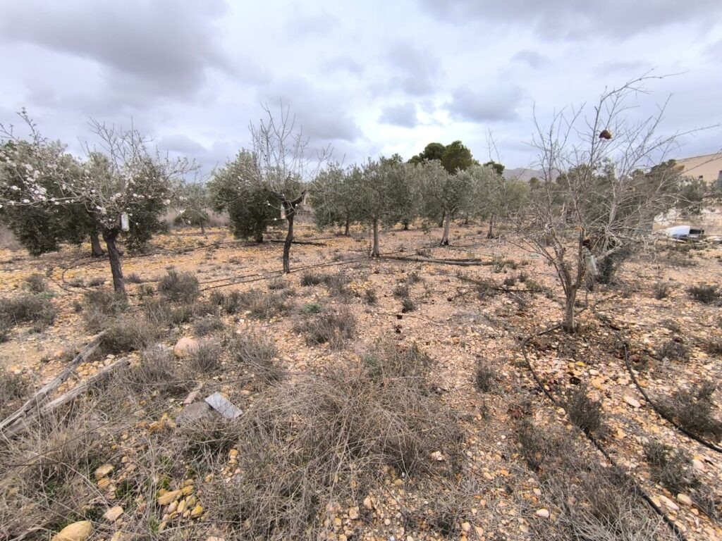 Finca w La Romana - oferta MLSC9417593