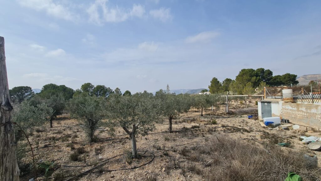 Finca w La Romana - oferta MLSC9417593