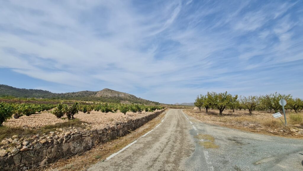 Land w Abanilla - oferta MLSC1132490