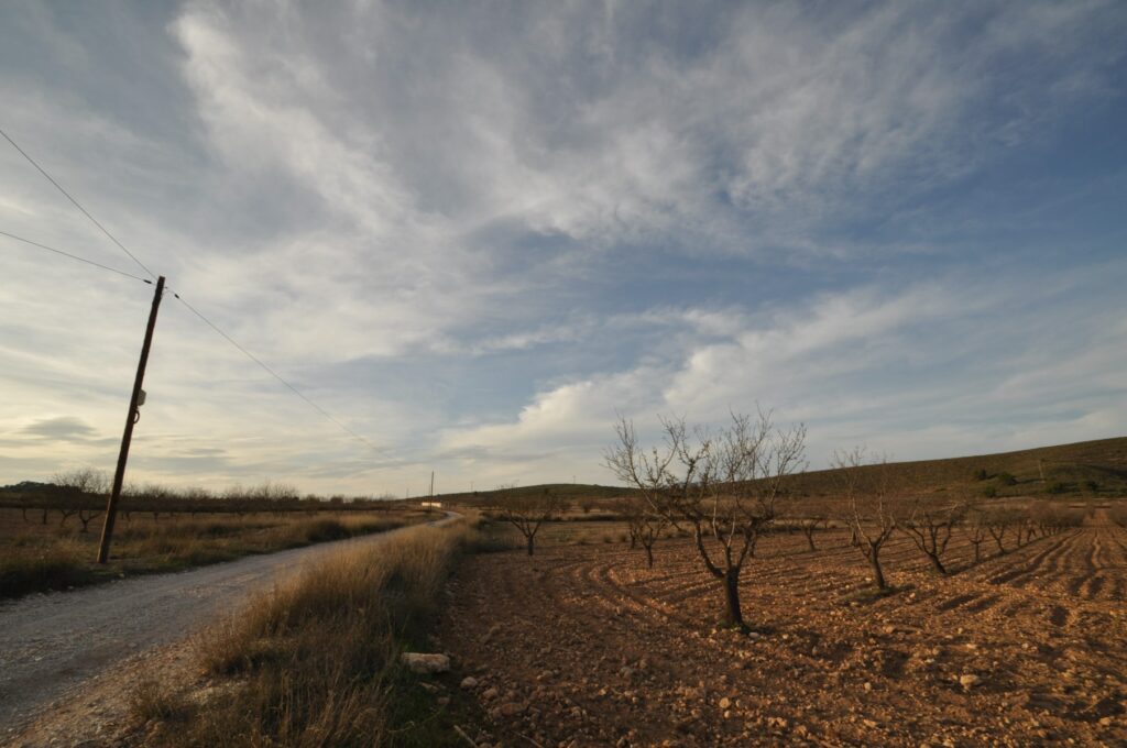 Land w Abanilla - oferta MLSC3623664