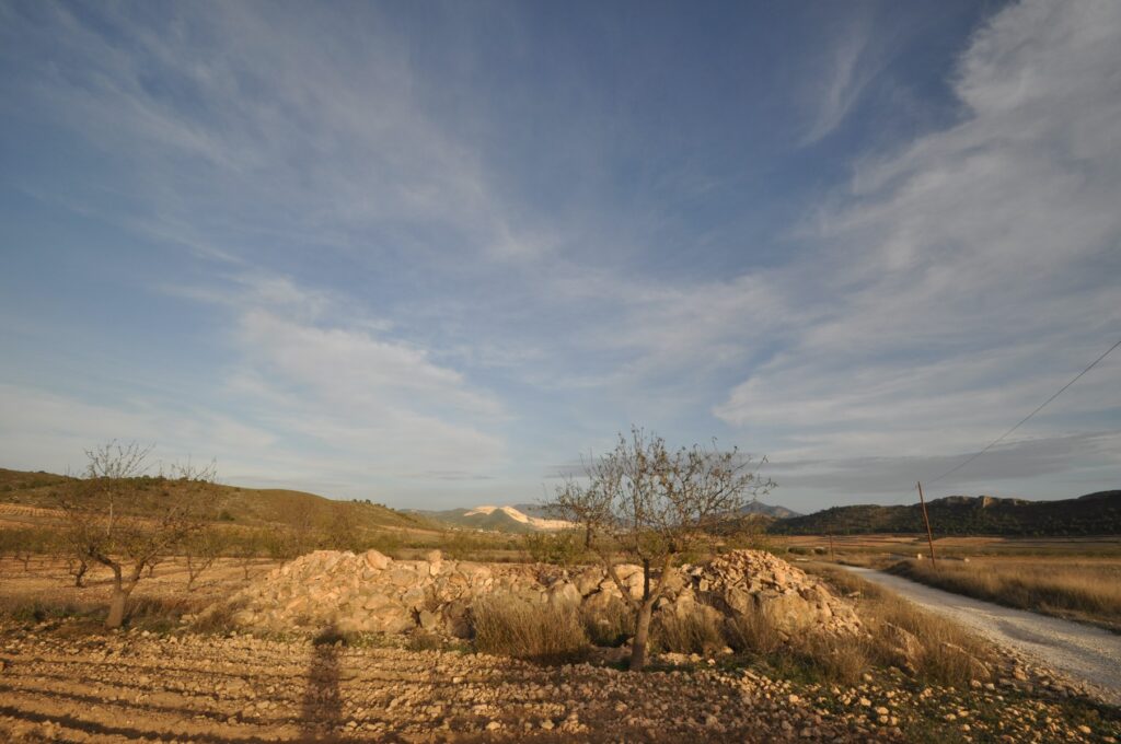 Land w Abanilla - oferta MLSC3623664