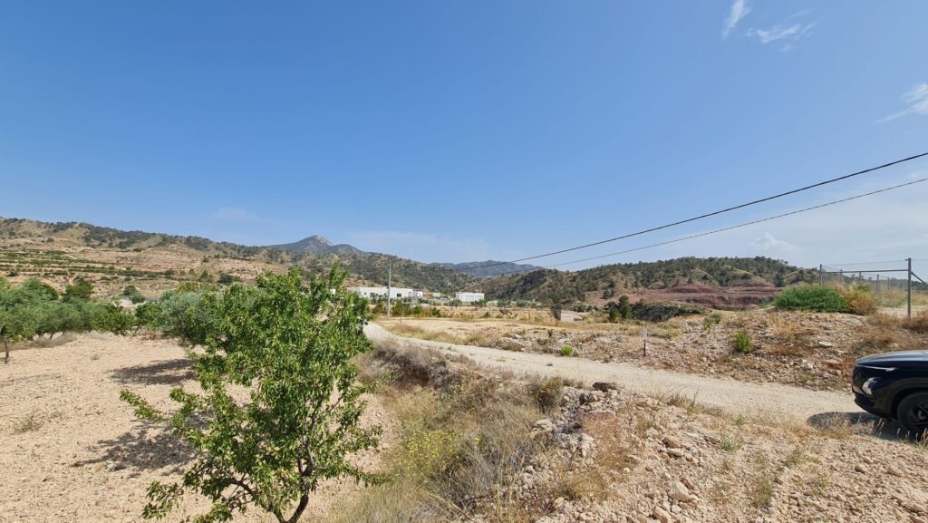 Land w Abanilla - oferta MLSC5022336