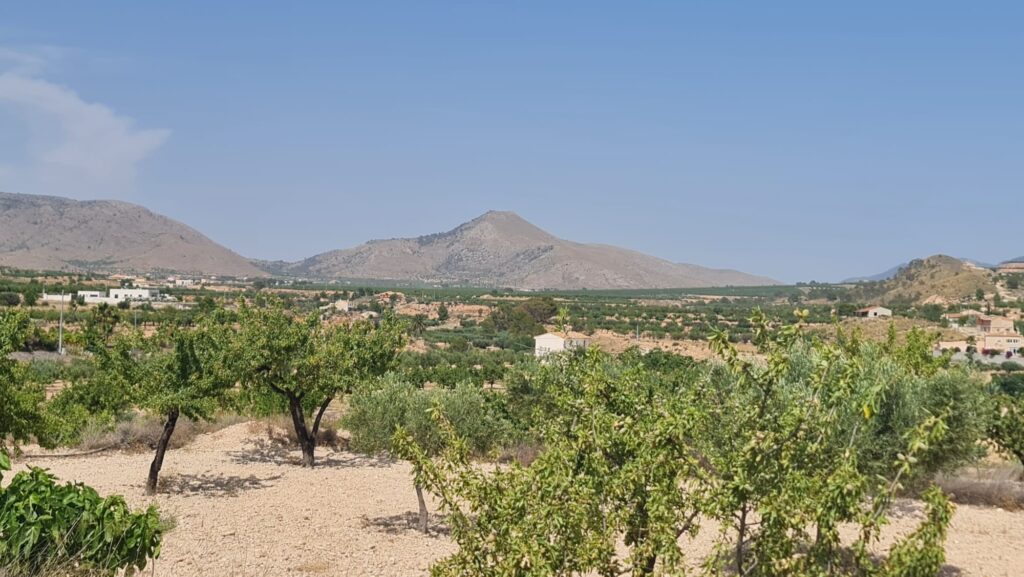 Land w Abanilla - oferta MLSC6684438