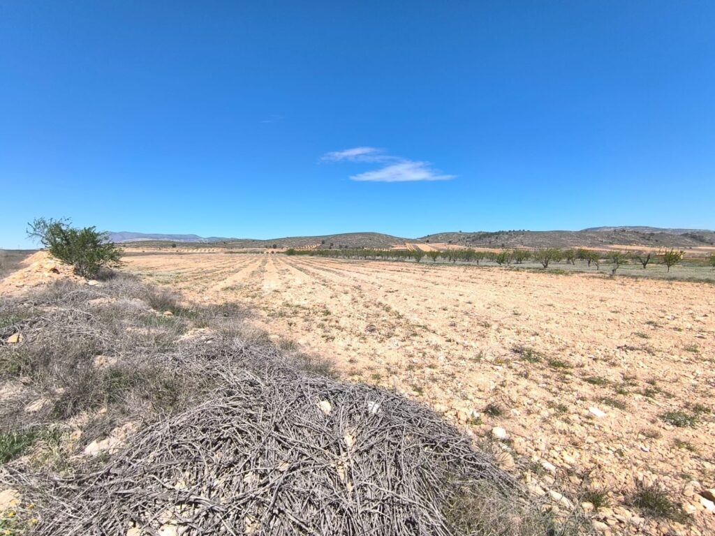 Land w Abanilla - oferta MLSC7444932