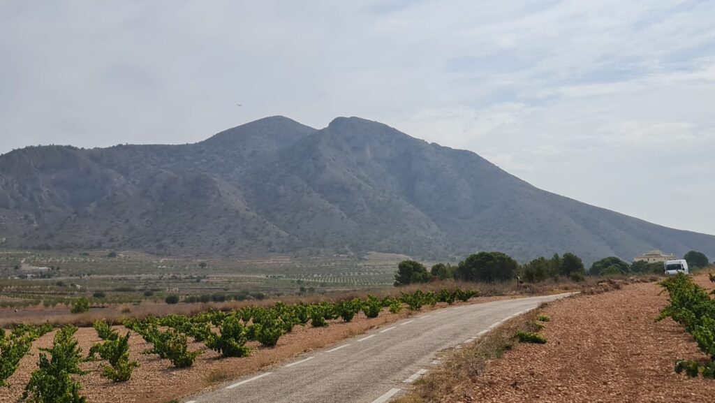 Land w Abanilla - oferta MLSC7556243