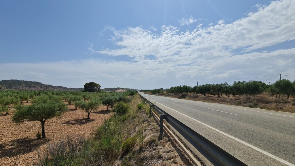 Land w Abanilla - oferta MLSC9571247