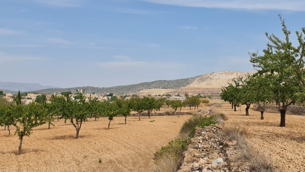 Land w Algueña - oferta MLSC3583848
