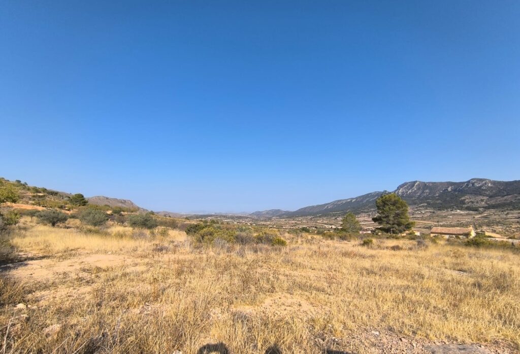 Land w Algueña - oferta MLSC8016849