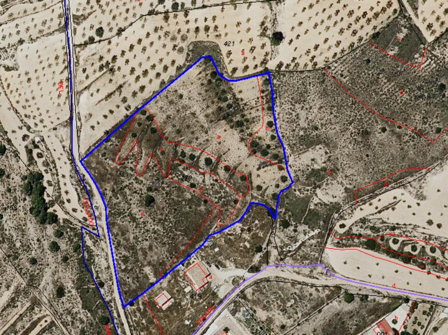 Land w Algueña - oferta MLSC8016849