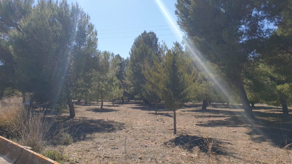 Land w Beneixama - oferta MLSC8511307