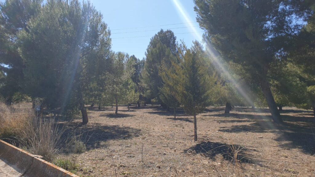 Land w Beneixama - oferta MLSC8511307