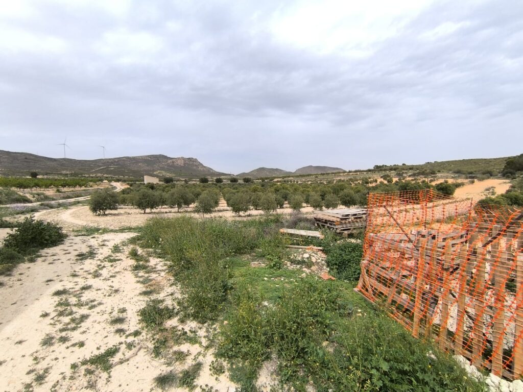Land w Jumilla - oferta MLSC1471733