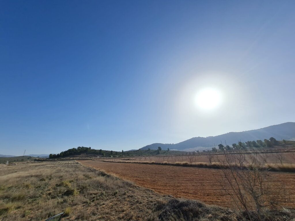 Land w Jumilla - oferta MLSC197203