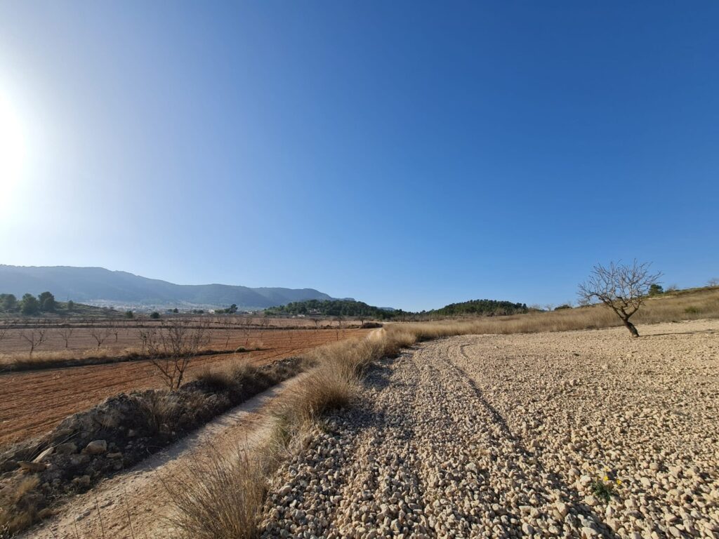 Land w Jumilla - oferta MLSC197203