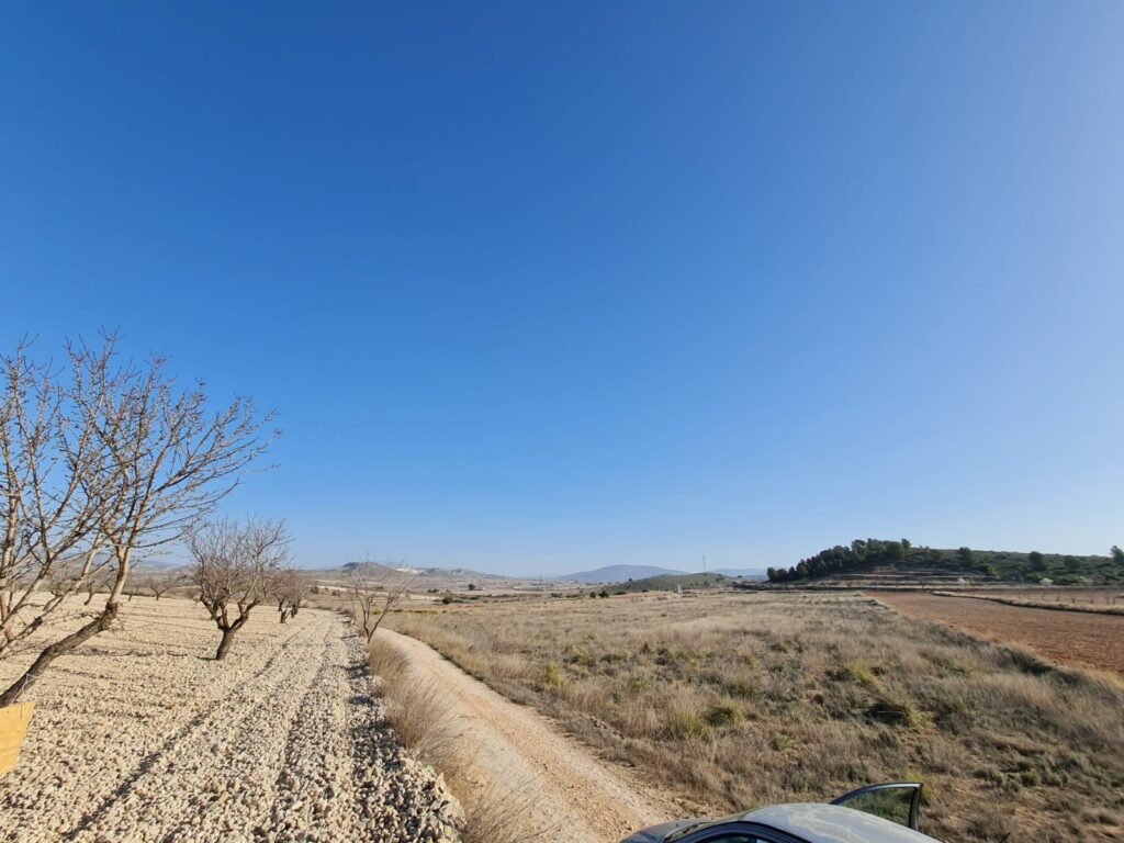 Land w Jumilla - oferta MLSC197203