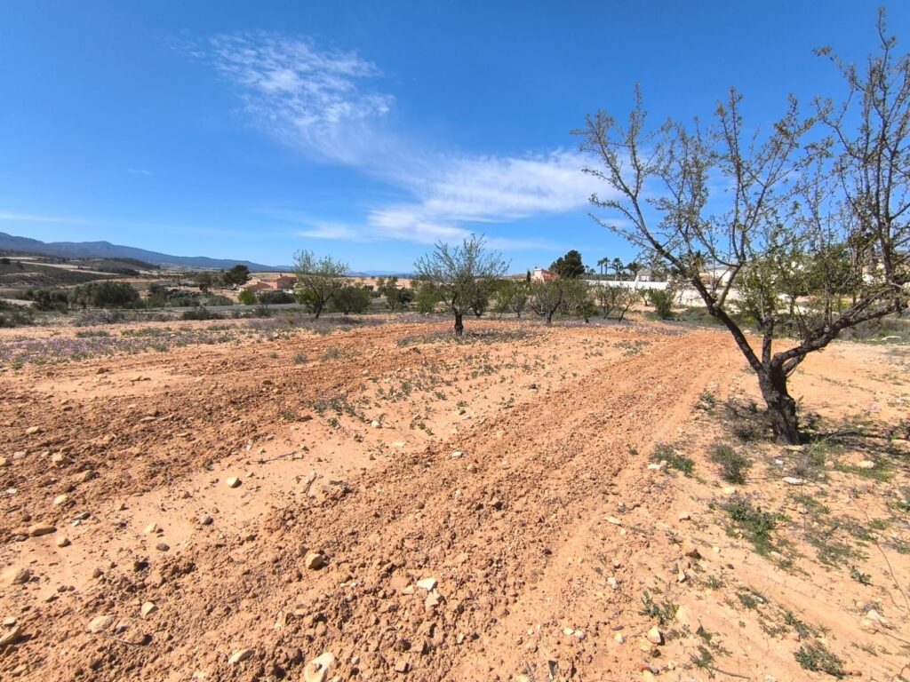 Land w Jumilla - oferta MLSC3102179