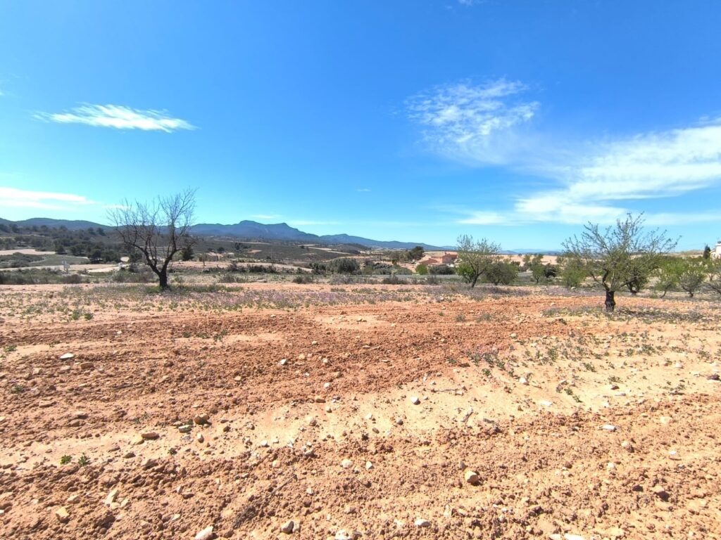 Land w Jumilla - oferta MLSC3102179