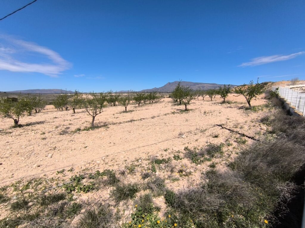 Land w Jumilla - oferta MLSC4925015