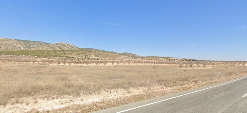 Land w Jumilla - oferta MLSC5936295