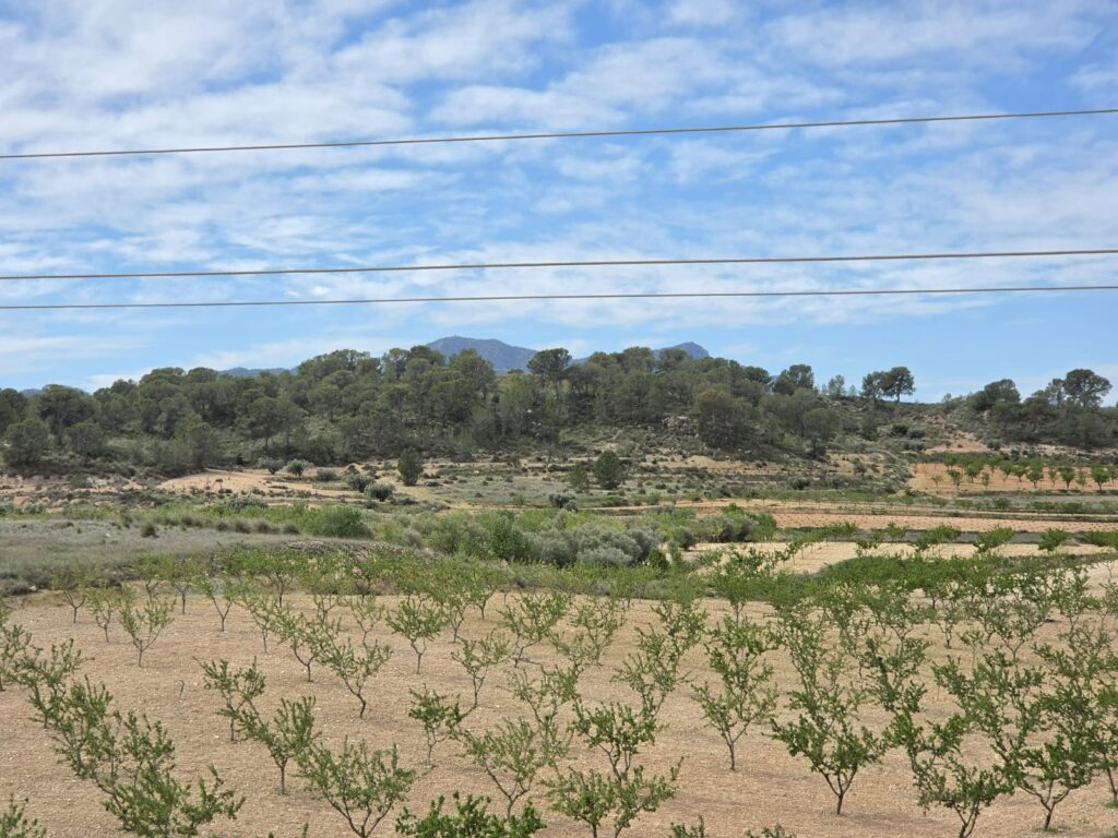 Land w Jumilla - oferta MLSC9101808