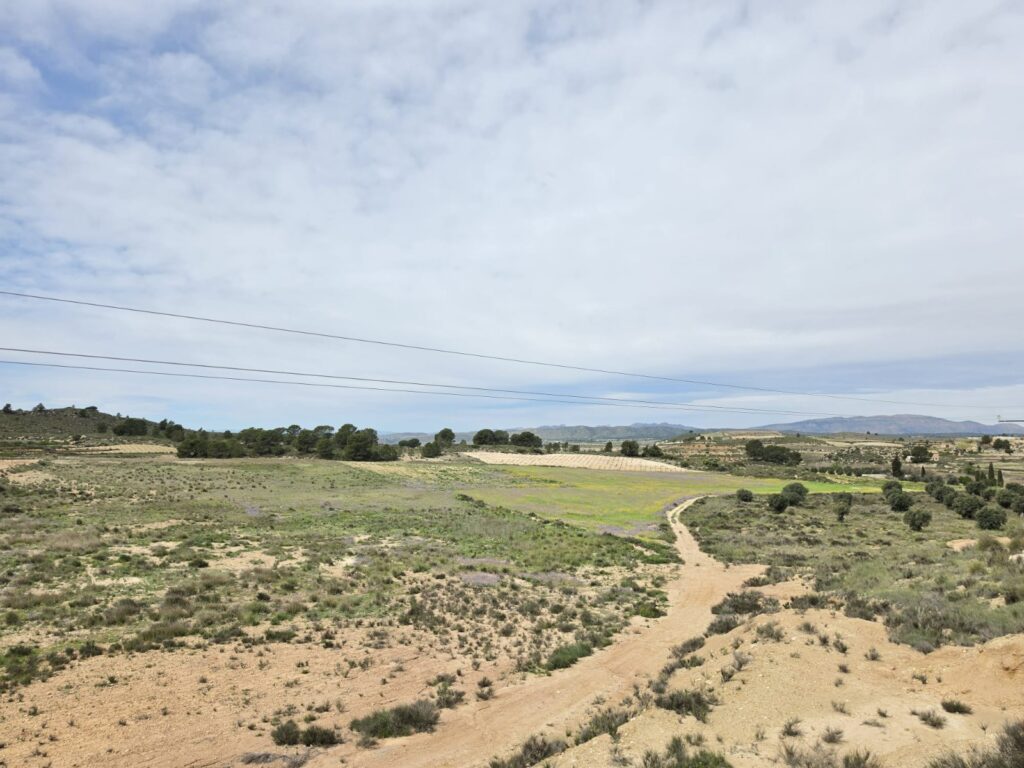 Land w Jumilla - oferta MLSC9101808