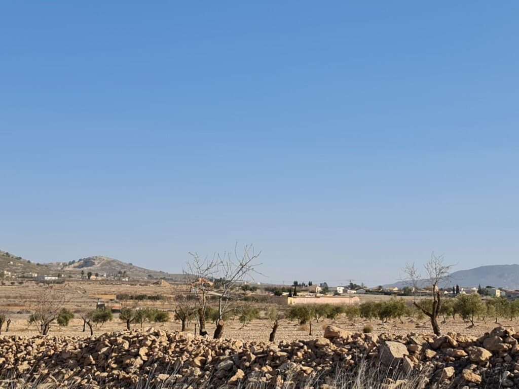 Land w Jumilla - oferta MLSC9122350