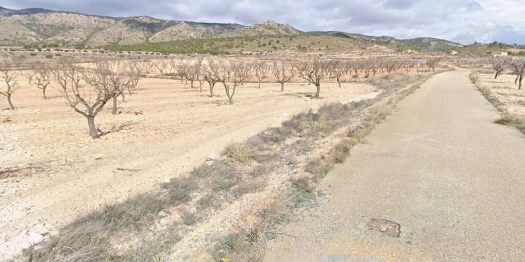 Land w Jumilla - oferta MLSC936460