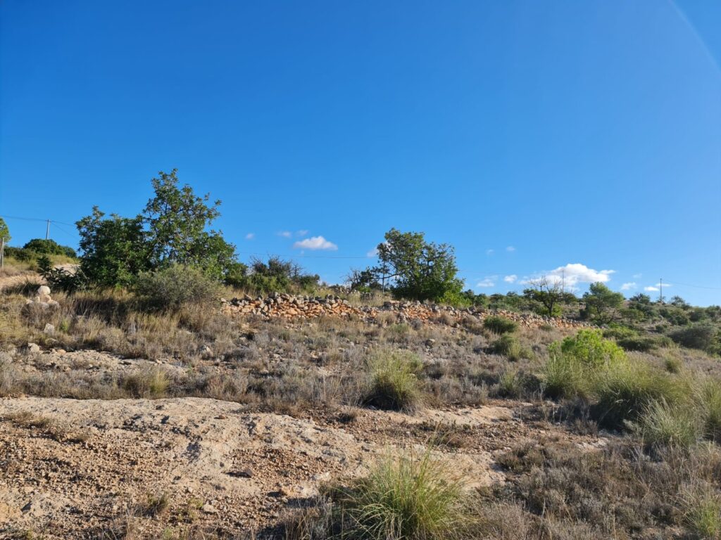 Land w La Romana - oferta MLSC4959217